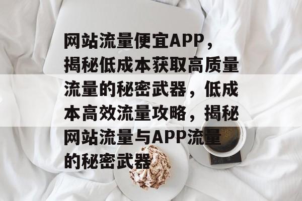 网站流量便宜APP，揭秘低成本获取高质量流量的秘密武器，低成本高效流量攻略，揭秘网站流量与APP流量的秘密武器