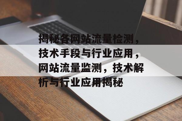 揭秘各网站流量检测，技术手段与行业应用，网站流量监测，技术解析与行业应用揭秘