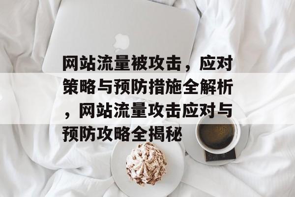 网站流量被攻击，应对策略与预防措施全解析，网站流量攻击应对与预防攻略全揭秘