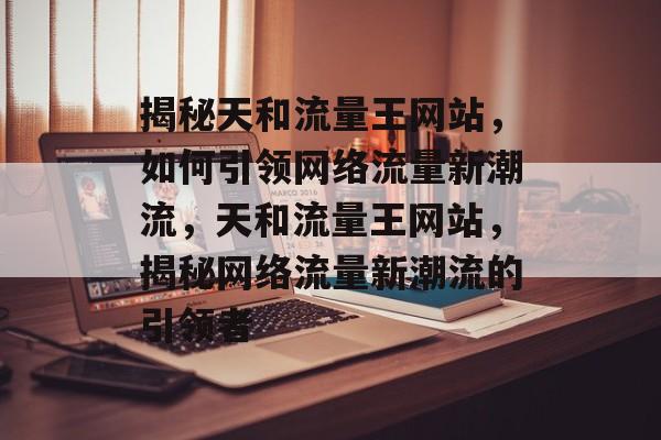 揭秘天和流量王网站，如何引领网络流量新潮流，天和流量王网站，揭秘网络流量新潮流的引领者