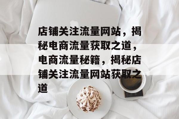 店铺关注流量网站，揭秘电商流量获取之道，电商流量秘籍，揭秘店铺关注流量网站获取之道