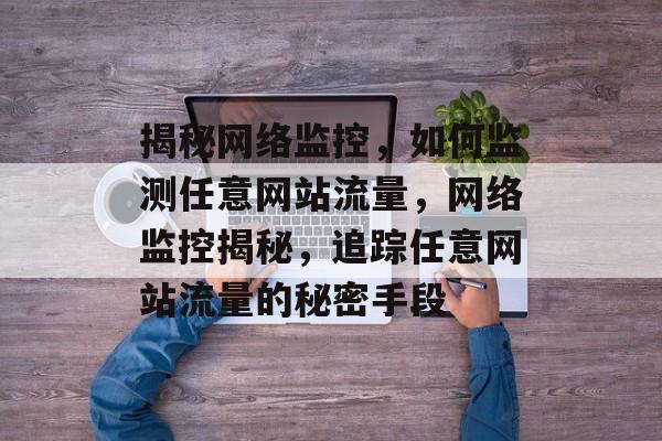 揭秘网络监控，如何监测任意网站流量，网络监控揭秘，追踪任意网站流量的秘密手段