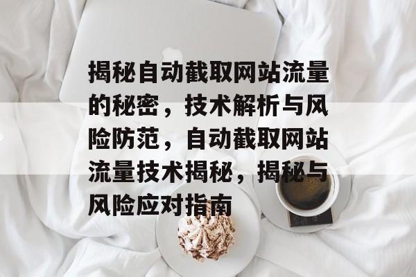 揭秘自动截取网站流量的秘密，技术解析与风险防范，自动截取网站流量技术揭秘，揭秘与风险应对指南