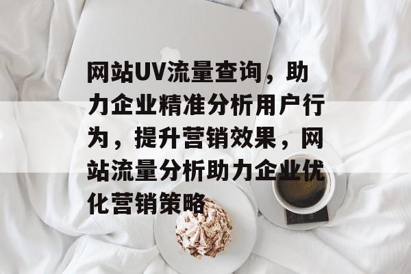 网站UV流量查询，助力企业精准分析用户行为，提升营销效果，网站流量分析助力企业优化营销策略