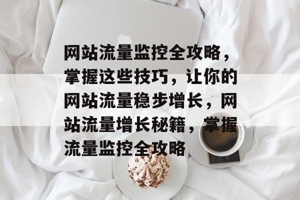 网站流量监控全攻略，掌握这些技巧，让你的网站流量稳步增长，网站流量增长秘籍，掌握流量监控全攻略