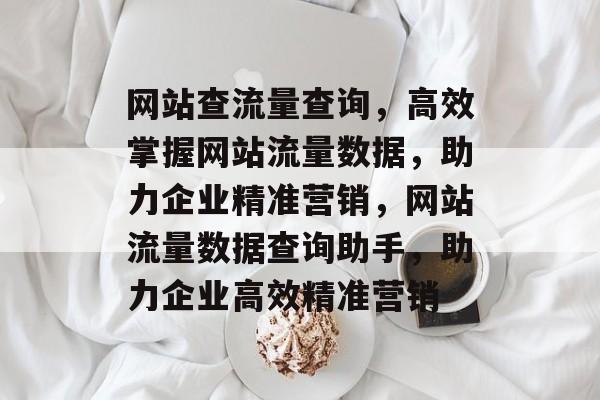 网站查流量查询，高效掌握网站流量数据，助力企业精准营销，网站流量数据查询助手，助力企业高效精准营销