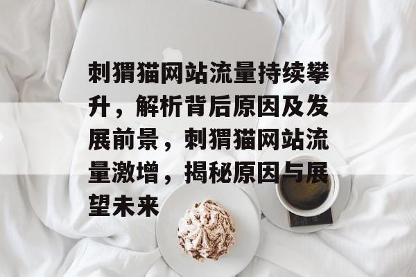 刺猬猫网站流量持续攀升，解析背后原因及发展前景，刺猬猫网站流量激增，揭秘原因与展望未来