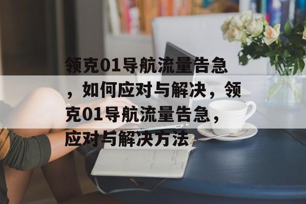 领克01导航流量告急，如何应对与解决，领克01导航流量告急，应对与解决方法