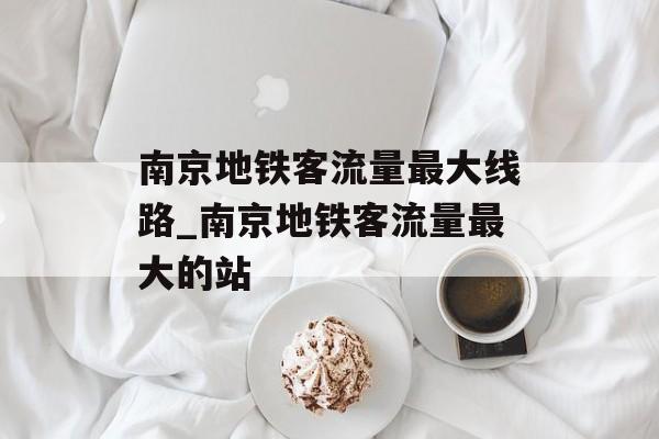 南京地铁客流量最大线路_南京地铁客流量最大的站