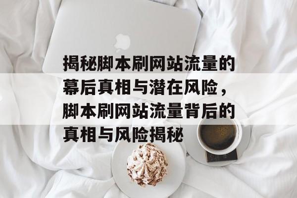 揭秘脚本刷网站流量的幕后真相与潜在风险，脚本刷网站流量背后的真相与风险揭秘