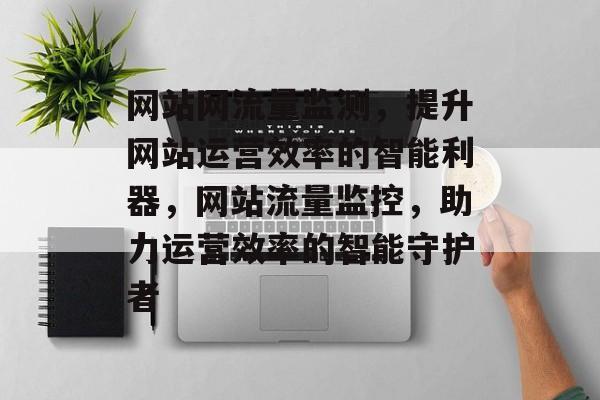 网站网流量监测，提升网站运营效率的智能利器，网站流量监控，助力运营效率的智能守护者