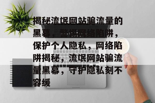 揭秘流氓网站骗流量的黑幕，警惕网络陷阱，保护个人隐私，网络陷阱揭秘，流氓网站骗流量黑幕，守护隐私刻不容缓