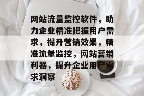 网站流量监控软件，助力企业精准把握用户需求，提升营销效果，精准流量监控，网站营销利器，提升企业用户需求洞察