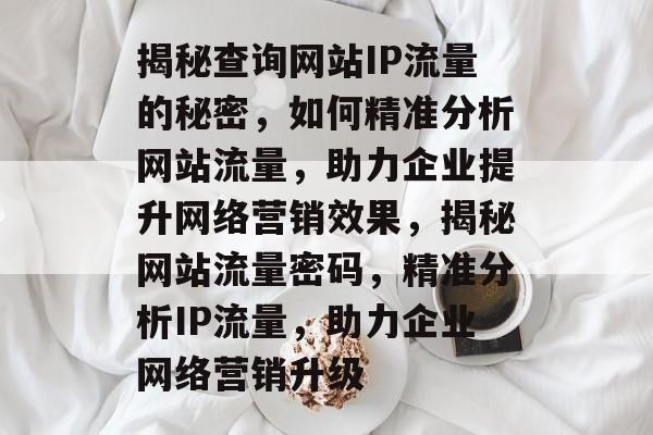 揭秘查询网站IP流量的秘密，如何精准分析网站流量，助力企业提升网络营销效果，揭秘网站流量密码，精准分析IP流量，助力企业网络营销升级