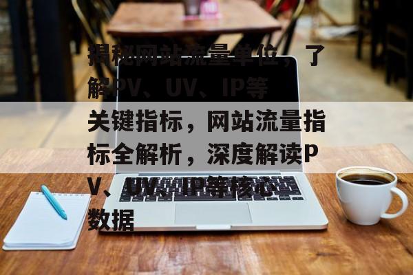 揭秘网站流量单位，了解PV、UV、IP等关键指标，网站流量指标全解析，深度解读PV、UV、IP等核心数据