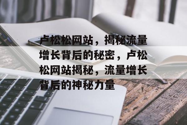 卢松松网站，揭秘流量增长背后的秘密，卢松松网站揭秘，流量增长背后的神秘力量