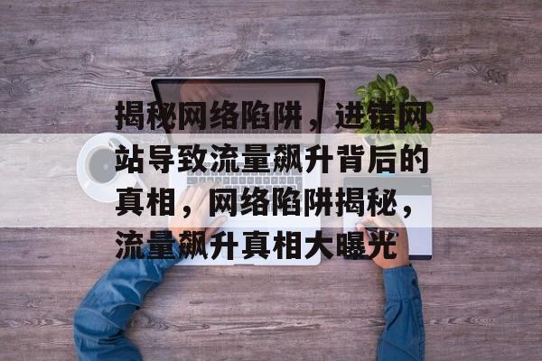 揭秘网络陷阱，进错网站导致流量飙升背后的真相，网络陷阱揭秘，流量飙升真相大曝光