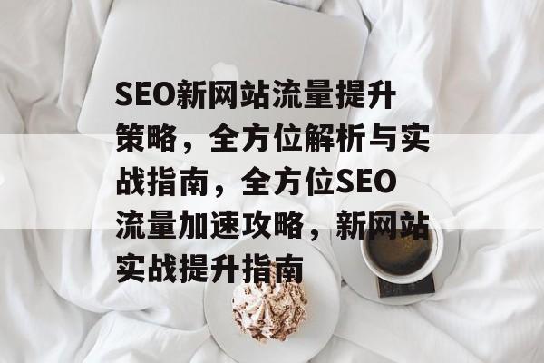 SEO新网站流量提升策略，全方位解析与实战指南，全方位SEO流量加速攻略，新网站实战提升指南