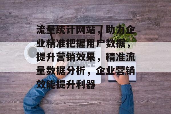 流量统计网站，助力企业精准把握用户数据，提升营销效果，精准流量数据分析，企业营销效能提升利器
