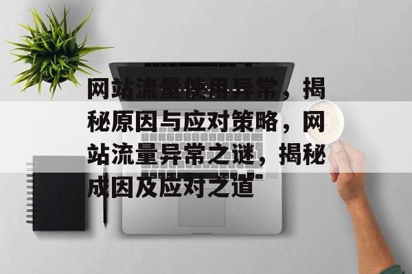网站流量使用异常，揭秘原因与应对策略，网站流量异常之谜，揭秘成因及应对之道