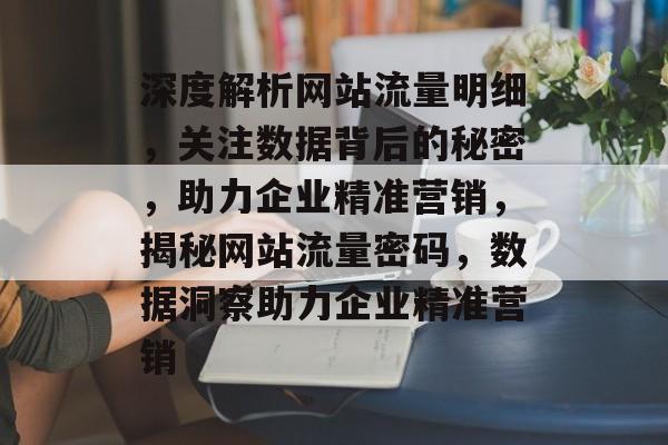 深度解析网站流量明细，关注数据背后的秘密，助力企业精准营销，揭秘网站流量密码，数据洞察助力企业精准营销