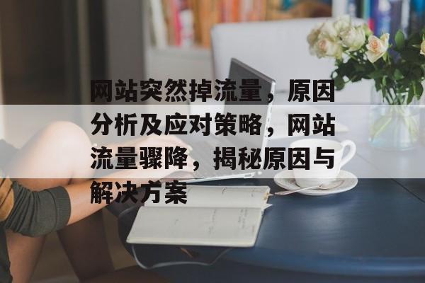 网站突然掉流量，原因分析及应对策略，网站流量骤降，揭秘原因与解决方案