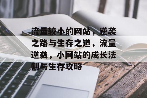 流量较小的网站，逆袭之路与生存之道，流量逆袭，小网站的成长法则与生存攻略
