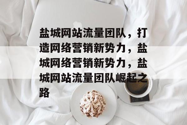 盐城网站流量团队，打造网络营销新势力，盐城网络营销新势力，盐城网站流量团队崛起之路