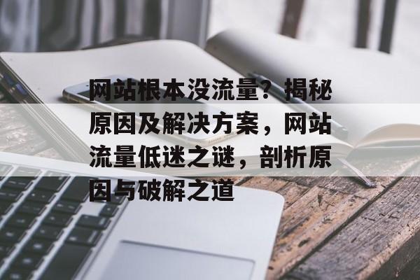 网站根本没流量？揭秘原因及解决方案，网站流量低迷之谜，剖析原因与破解之道
