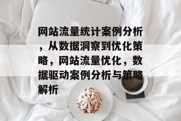 网站流量统计案例分析，从数据洞察到优化策略，网站流量优化，数据驱动案例分析与策略解析