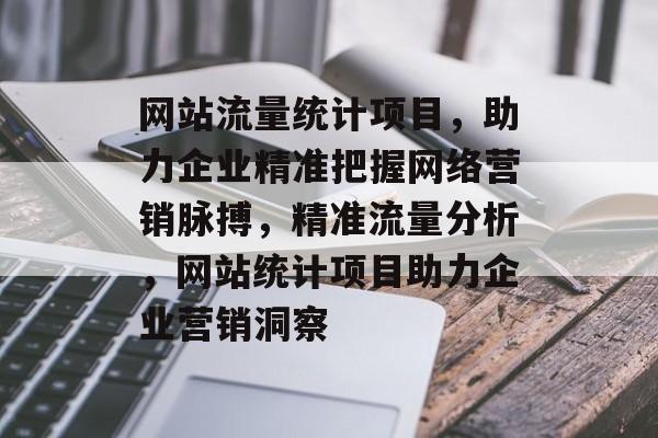 网站流量统计项目，助力企业精准把握网络营销脉搏，精准流量分析，网站统计项目助力企业营销洞察