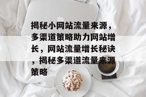 揭秘小网站流量来源，多渠道策略助力网站增长，网站流量增长秘诀，揭秘多渠道流量来源策略