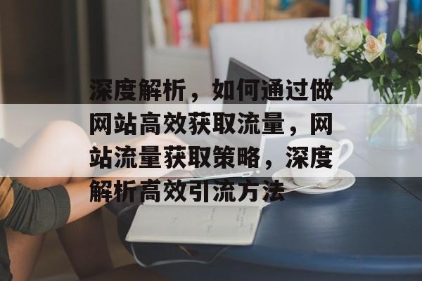 深度解析，如何通过做网站高效获取流量，网站流量获取策略，深度解析高效引流方法