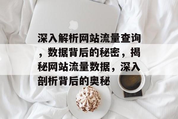 深入解析网站流量查询，数据背后的秘密，揭秘网站流量数据，深入剖析背后的奥秘