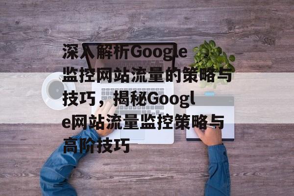 深入解析Google监控网站流量的策略与技巧，揭秘Google网站流量监控策略与高阶技巧