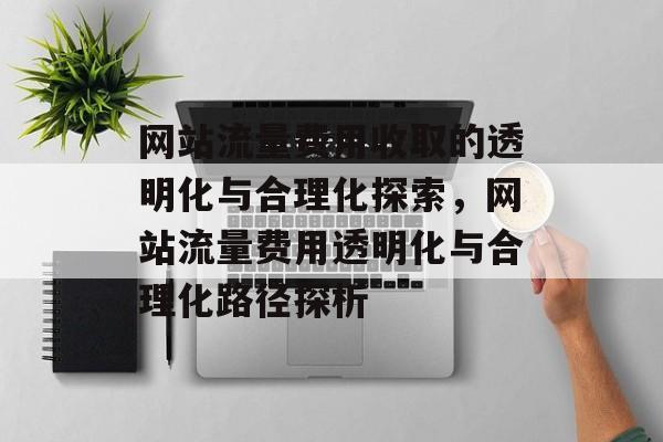 网站流量费用收取的透明化与合理化探索，网站流量费用透明化与合理化路径探析