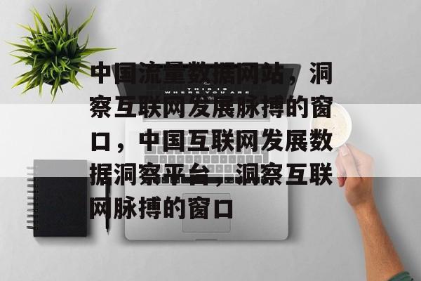 中国流量数据网站，洞察互联网发展脉搏的窗口，中国互联网发展数据洞察平台，洞察互联网脉搏的窗口