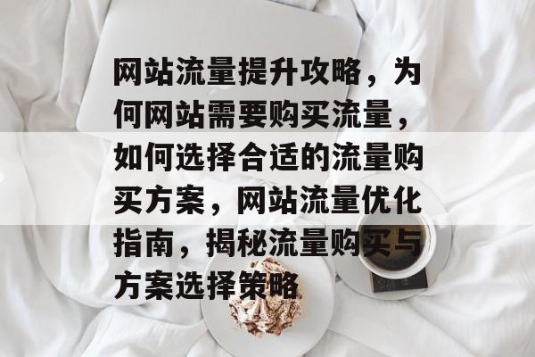 网站流量提升攻略，为何网站需要购买流量，如何选择合适的流量购买方案，网站流量优化指南，揭秘流量购买与方案选择策略