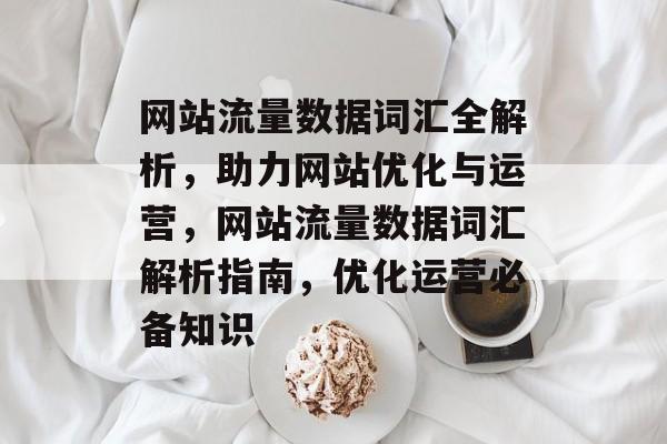 网站流量数据词汇全解析，助力网站优化与运营，网站流量数据词汇解析指南，优化运营必备知识