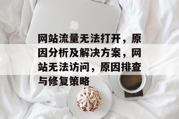 网站流量无法打开，原因分析及解决方案，网站无法访问，原因排查与修复策略
