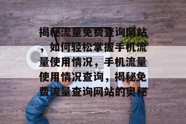 揭秘流量免费查询网站，如何轻松掌握手机流量使用情况，手机流量使用情况查询，揭秘免费流量查询网站的奥秘