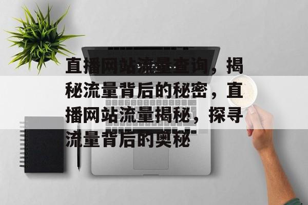 直播网站流量查询，揭秘流量背后的秘密，直播网站流量揭秘，探寻流量背后的奥秘