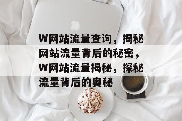 W网站流量查询，揭秘网站流量背后的秘密，W网站流量揭秘，探秘流量背后的奥秘