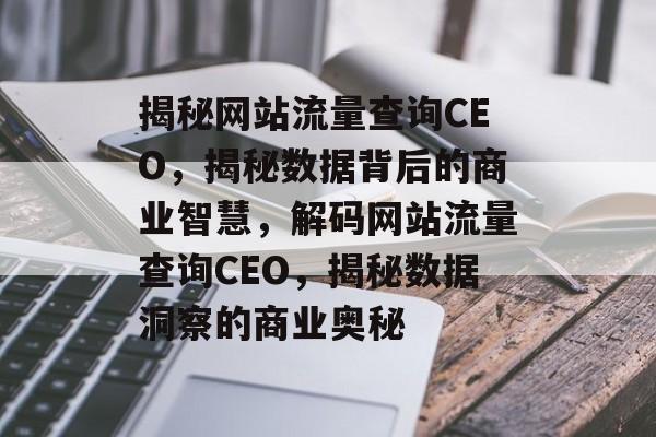 揭秘网站流量查询CEO，揭秘数据背后的商业智慧，解码网站流量查询CEO，揭秘数据洞察的商业奥秘