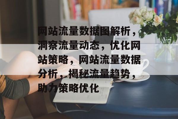 网站流量数据图解析，洞察流量动态，优化网站策略，网站流量数据分析，揭秘流量趋势，助力策略优化
