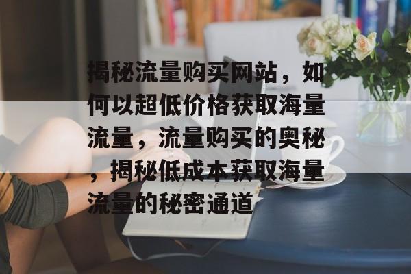 揭秘流量购买网站，如何以超低价格获取海量流量，流量购买的奥秘，揭秘低成本获取海量流量的秘密通道