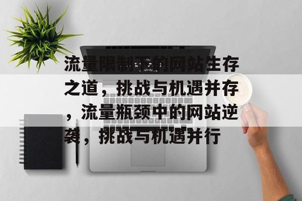 流量限制下的网站生存之道，挑战与机遇并存，流量瓶颈中的网站逆袭，挑战与机遇并行