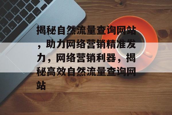 揭秘自然流量查询网站，助力网络营销精准发力，网络营销利器，揭秘高效自然流量查询网站