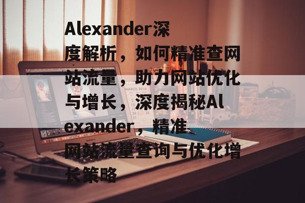 Alexander深度解析，如何精准查网站流量，助力网站优化与增长，深度揭秘Alexander，精准网站流量查询与优化增长策略