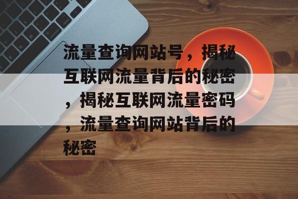 流量查询网站号，揭秘互联网流量背后的秘密，揭秘互联网流量密码，流量查询网站背后的秘密